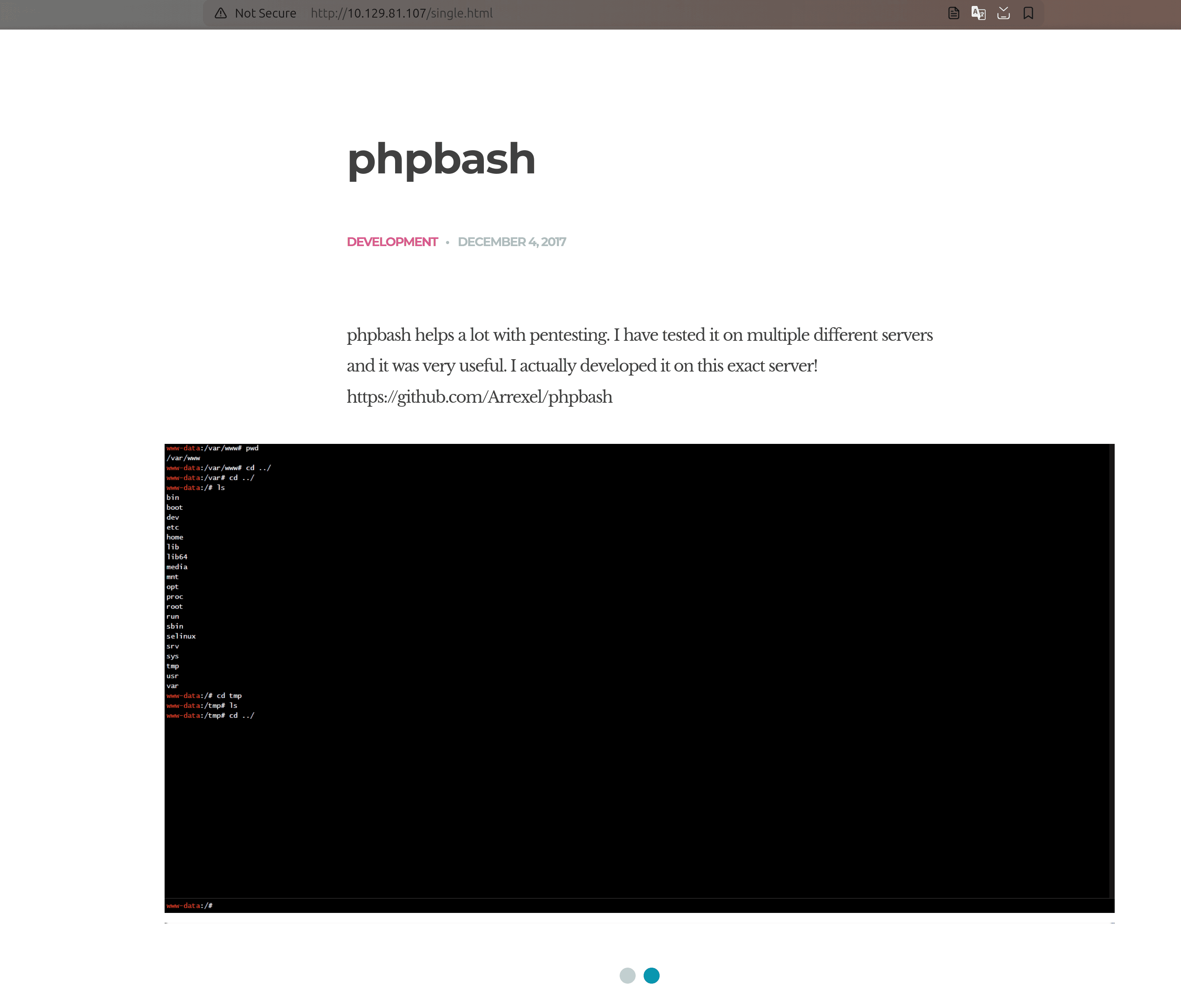 Website development info